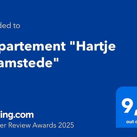 Appartement "Hartje Haamstede" ブールグ・ハームステーデ エクステリア 写真